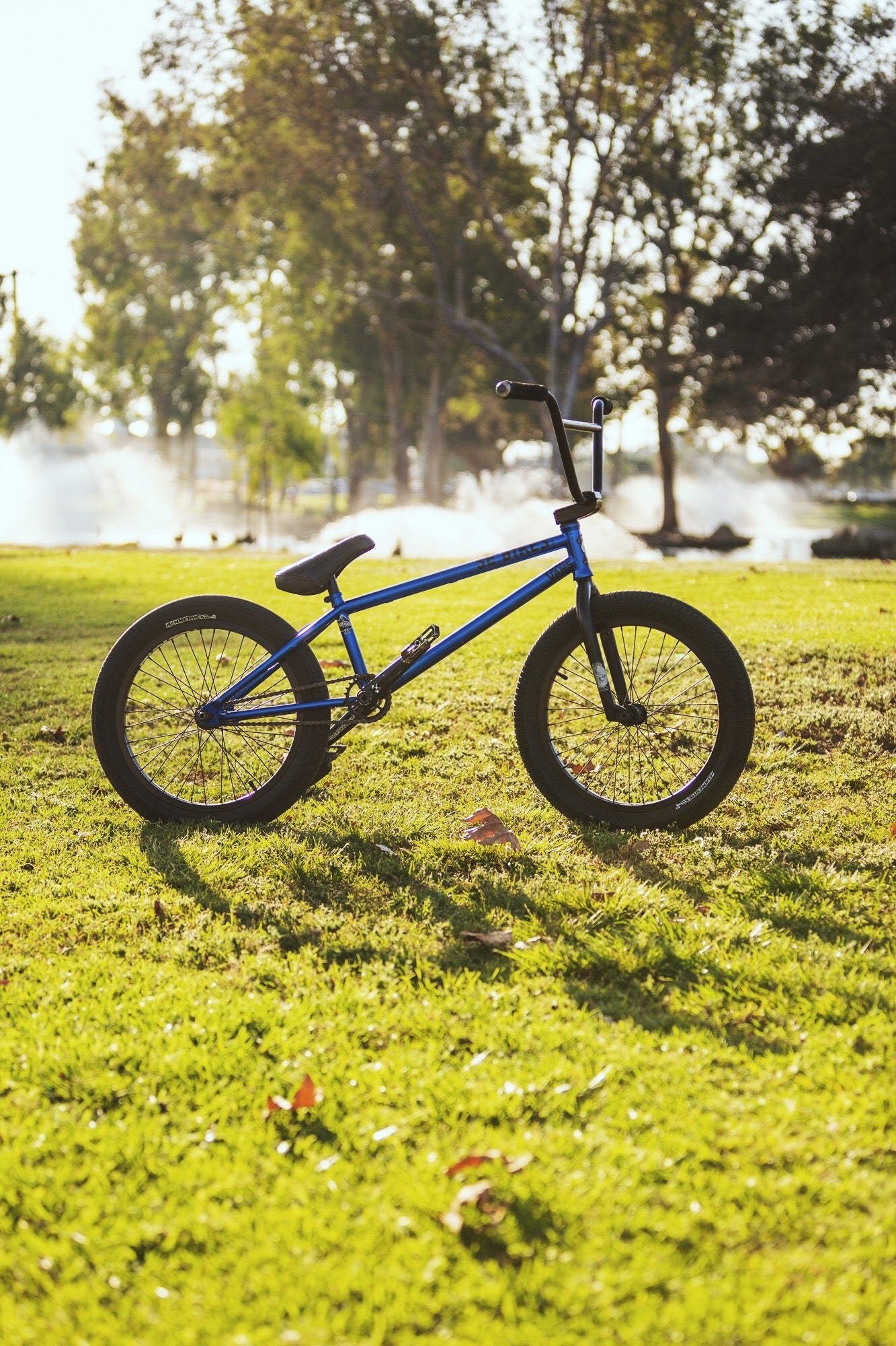 SE Bikes Gaudium – SE BIKES Powered By BikeCo